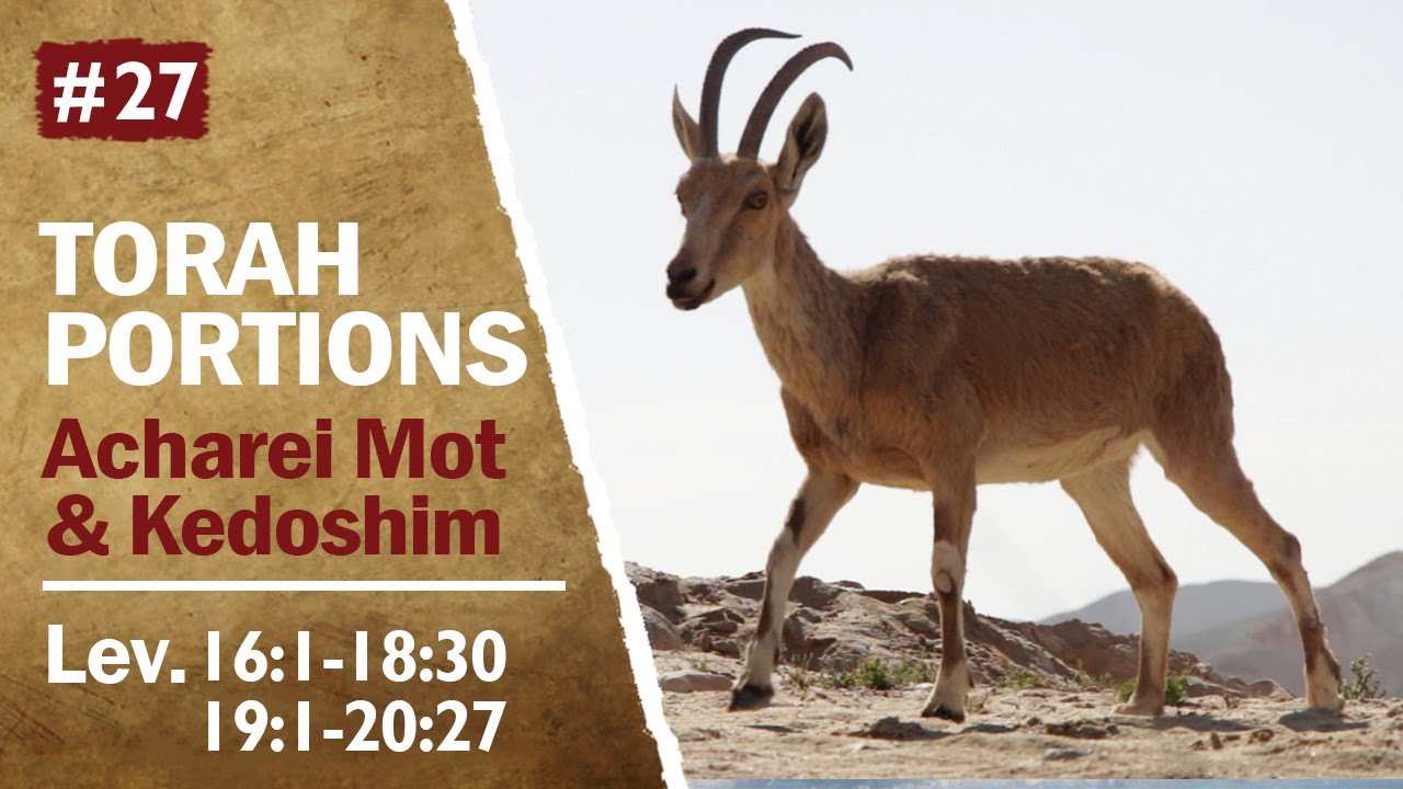 Torah Portions Acharei Mot & Kedoshim - Yom Kippur & The High Priest, Laws for Loving Our Neighbour