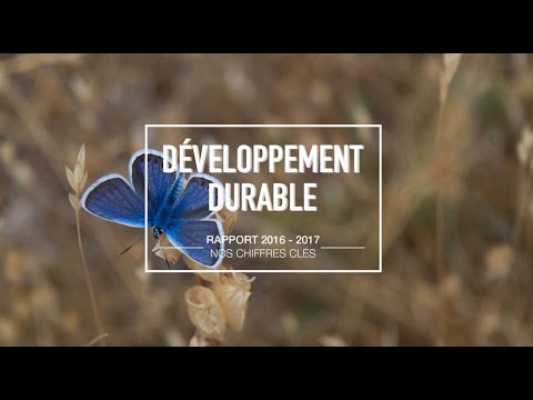 Rapport Développement Durable 2016 - 2017 2/2
