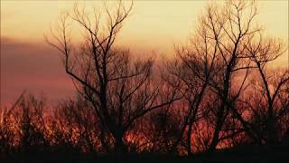 John Barry (All time high)