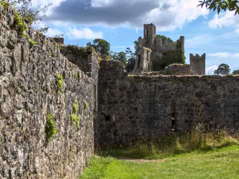 The Chieftains - Dochas