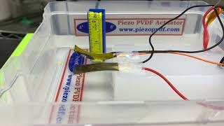 Soft bimorph PVDF actuator at +/-200V and +/-300V