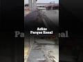 Homepage 5 Video thumbnail