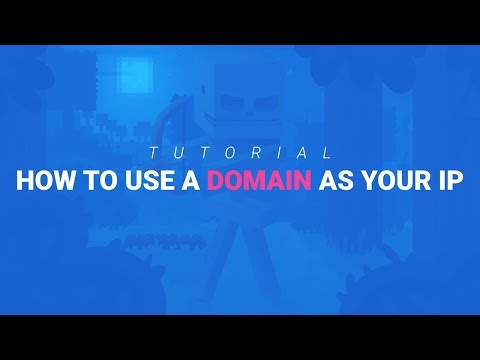 How to turn your Minecraft Server IP into a Domain / Custom IP
