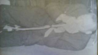 Sonny Boy Williamson fattening frogs for snakes,live,solo