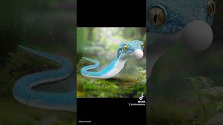 Convirtiendo un geco real en un dratini #pokemon #ia #sora