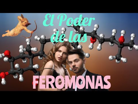 El secreto de los Perfumes con FEROMONAS y su elaboración