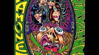 The Ramones- Journey To The Center Of The Mind{Acid Eaters}