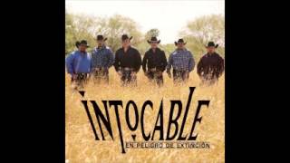 Intocable - Dimelo 2013