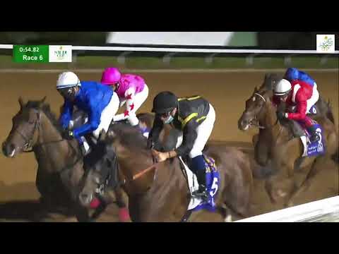Pink Kamehameha 【ピンクカメハメハ】 Saudi Derby 【サウジダービー】20/2/2021 Saudi