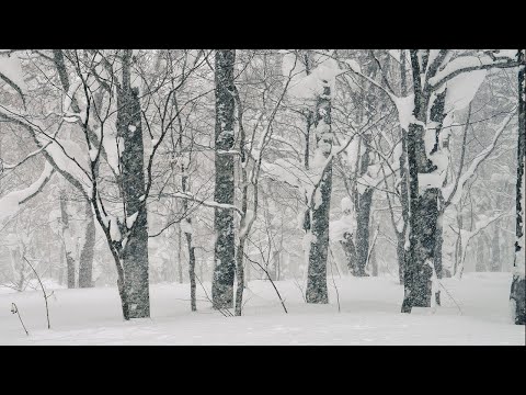 Tempête de neige, bruit de vent fort pour le Sommeil - Relaxation - Détente.