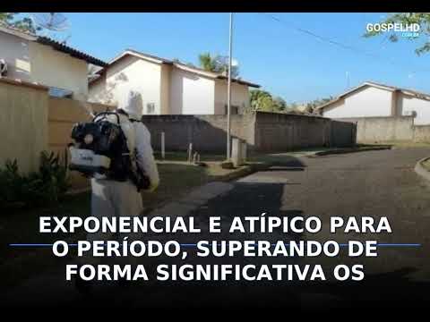 Explosão de dengue faz Caldas Novas decretar calamidade por 90 dias; hospital lotado e mutirões