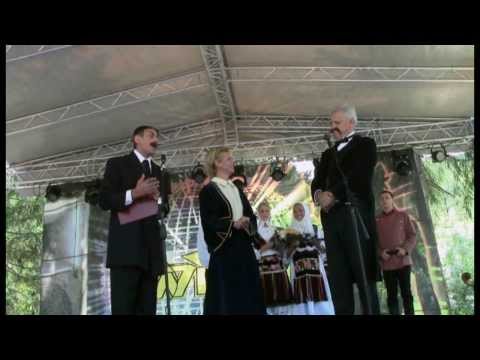 Dani brestovačke banje 2013.