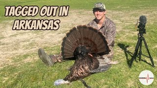 Hunting Henned up Field Turkeys || Patterning turkeys