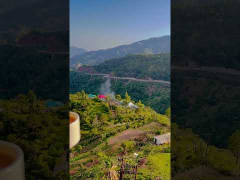 Evening tea with a view ☕️#teatime #teawithme #hills #himalya #nationalvilager #eveningtea #view
