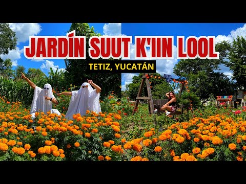 VISITANDO el JARDIN MÁS VIRAL de Yucatán 😱 || Jardín Suut K'iin Lool || Tetiz, Yucatán