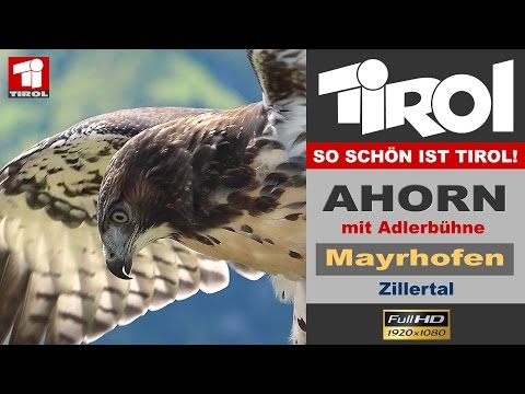 Ahorn und Adlerbühne in Mayrhofen - Zillertal