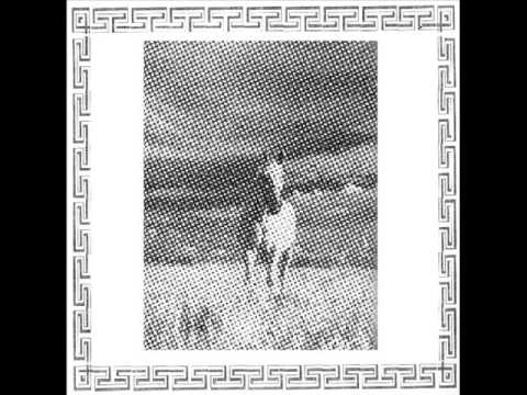 NS King - Taming of White Stallion