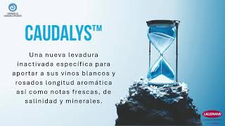 CAUDALYS™: Potencia la longitud aromática, la salinidad y la frescura en vinos blancos y rosados