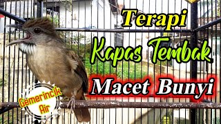 Download lagu Terapi Kapas Tembak Macet Bunyi #terapikapastembakmacetbunyi #kapastembak mp3