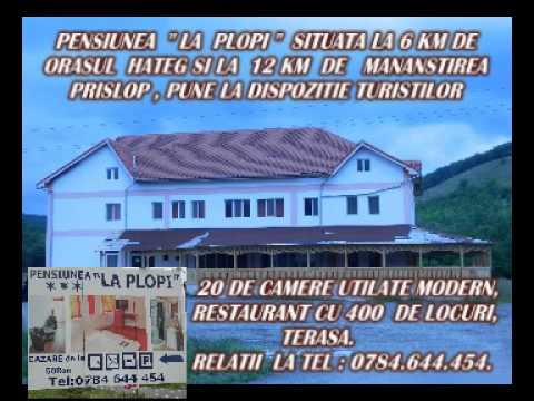 Alegeti Pensiunea ,, La Plopi" din Tara Hategului