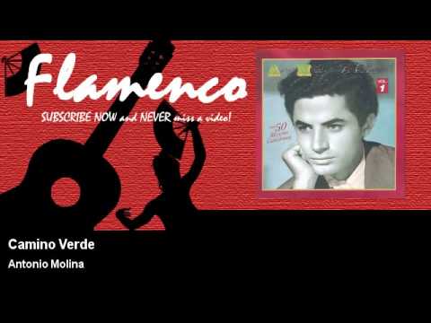 Antonio Molina - Camino Verde