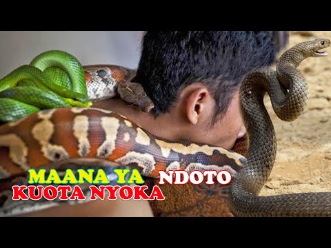 Maana ya Ndoto za NYOKA Utajiri au Umasikini/ukiota Nyoka jua ni haya hapa maana yake......