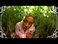 Ludacris - Blueberry Yum Yum (EXPLICIT) [A.I. UPSCALE 4K] (2004)