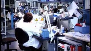 VIDEO DOCUMENTAL CEOSA 2012