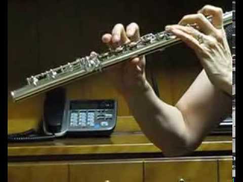 Jupiter DiMedici Used Flute - Like New!  Demo Low and High