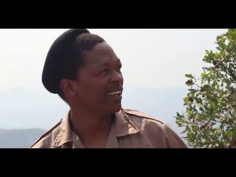 Mncedy uMqingo_Amabutho ft Nhlanhla Mhlongo