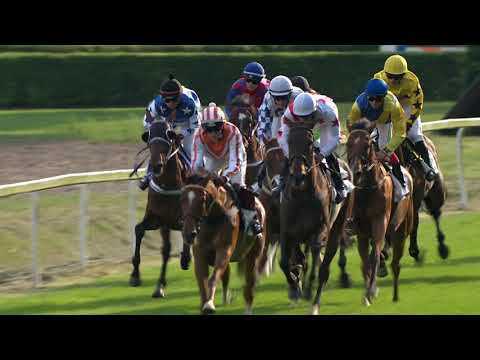 PE, 24. 7. 2020, 3. dostih - Cena Dostihového spolku a.s.