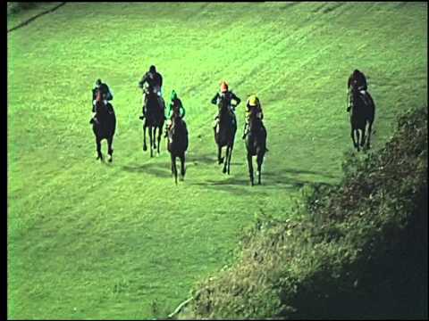 Galoppo 25/07/2015 - 4° corsa