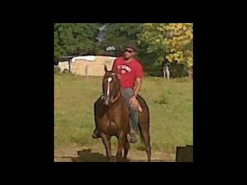 DON RARA  ADIOS CAMPEON