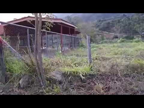 Imagen de Venta de Lotes y Terrenos en Santa maría - Dota Santa María - SAN JOSÉ