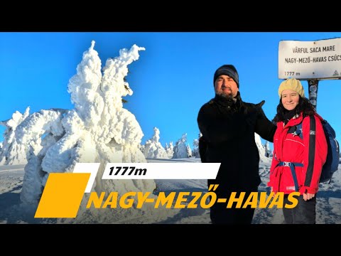 Nagy-Mező-havas csúcs 1777m | Görgényi-havasok legmagasabb csúcsa