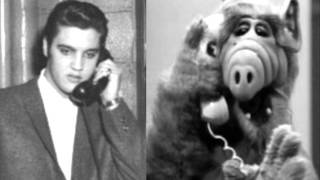elvis presley too much monkey business (rare audio)