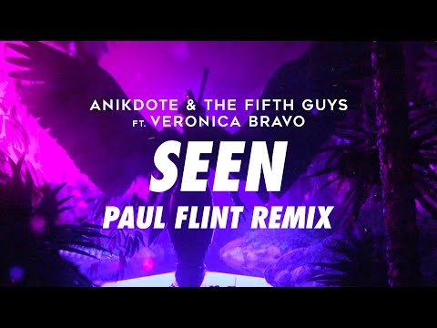 Anikdote & The FifthGuys ft. Veronica Bravo - Seen (Paul Flint Remix)