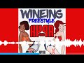 HYPA 4000 - WINEING FREESTYLE - BIGGA SHAKE RIDDIM - PROMO VDO