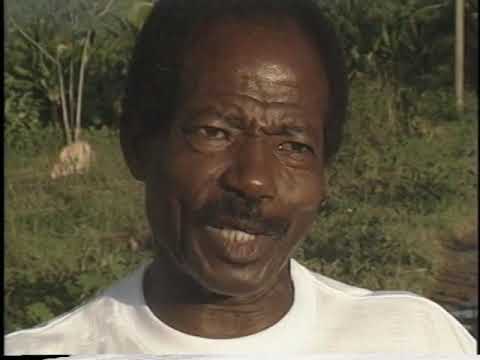 African Influences on Saint Lucian Culture - Solo (Pt. II)