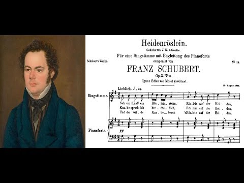 Franz Schubert - Heidenröslein (Sheet music and lyrics)