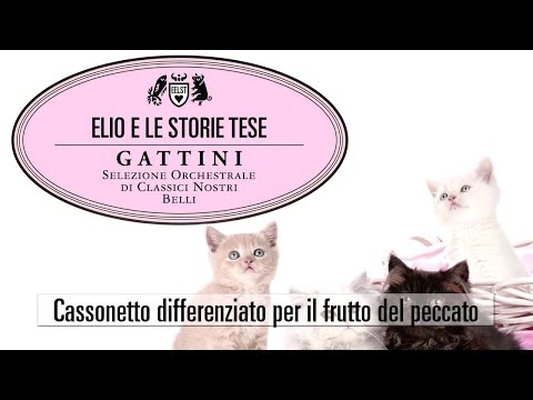 Cassonetto differenziato per il frutto del peccato