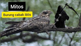 Download lagu Mitos Cabak iblis. burung malam mp3