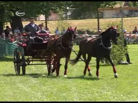 Pfingstreiten - RAN1