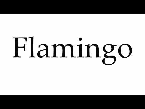 How to Pronounce Flamingo
