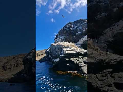 ISLA DAMA, COMUNA DE HIGUERA 4TA REGION, COQUIMBO, CHILE #VLOG #TRAVEL #COQUIMBO #isladechilE 💯💢