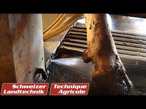 Mit «Smart-Clean» waschen und desinfizieren