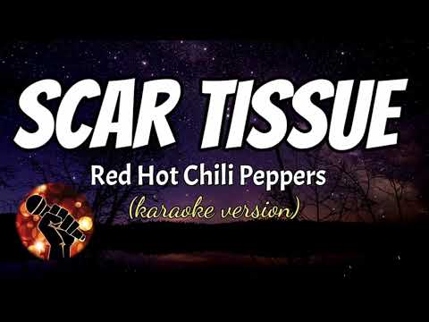 SCAR TISSUE - RED HOT CHILI PEPPERS (karaoke version)