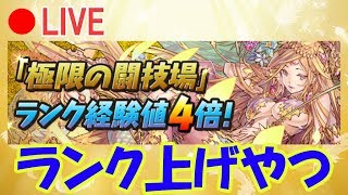 闘技場経験値４倍が来たぁ～