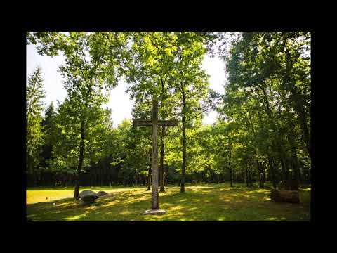 Paul Constantinescu - Cântec Vechi | Miriam Tohătan