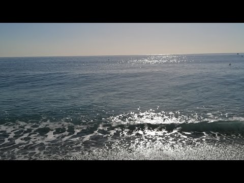 Zepi - YALAN (cover) 